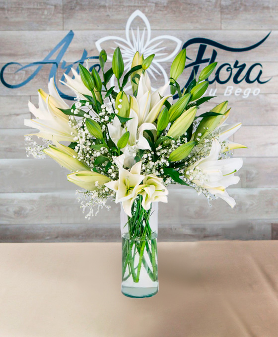 Flores Blancas para Regalar